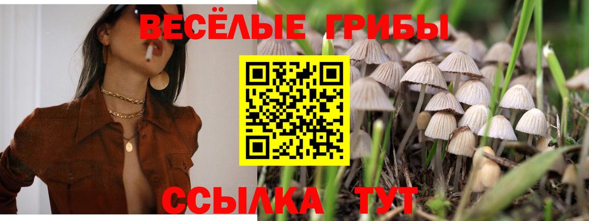Псилоцибиновые грибы мухоморы Куйбышев